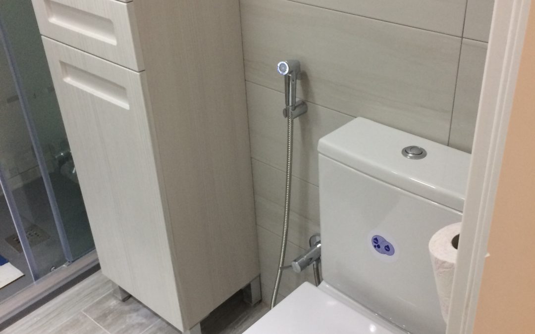 Reforma baño Poniente